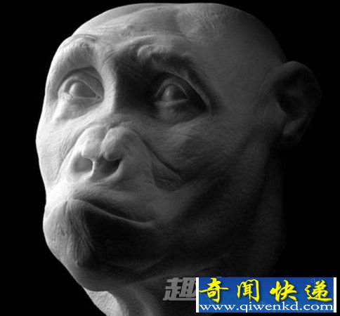 乍得人猿