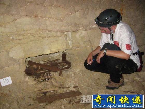 对狗遗骸进行检测分析