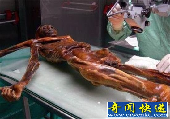 千年木乃伊暗藏古老诅咒 研究人员相继惨死