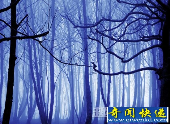 死亡地带
