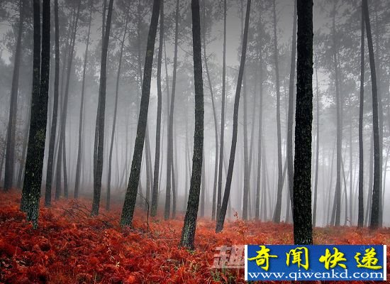 死亡地带