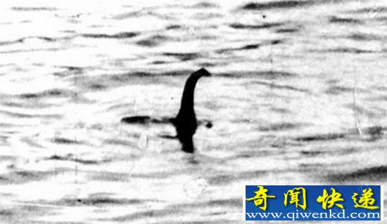 尼斯湖水怪是世界上最后一只恐龙 真相震惊