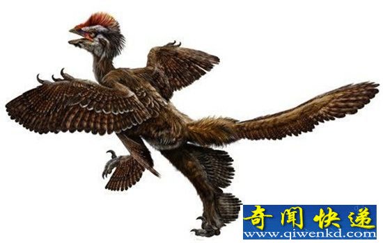 世界十大羽毛恐龙 中国千禧龙上榜
