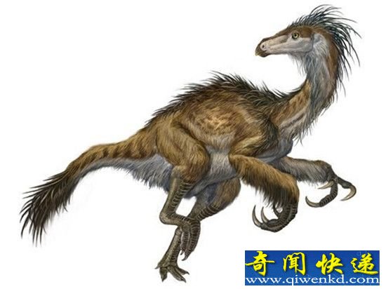 世界十大羽毛恐龙 中国千禧龙上榜