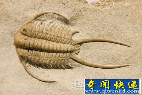 “文明”之谜:无法解释的“地球制造”