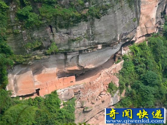 恐龙曾与人类共同生活 中国现决定性化石证据