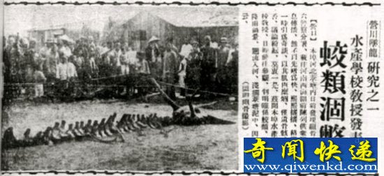 骨骼