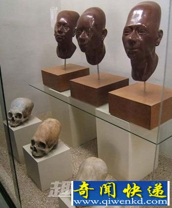 细长头骨