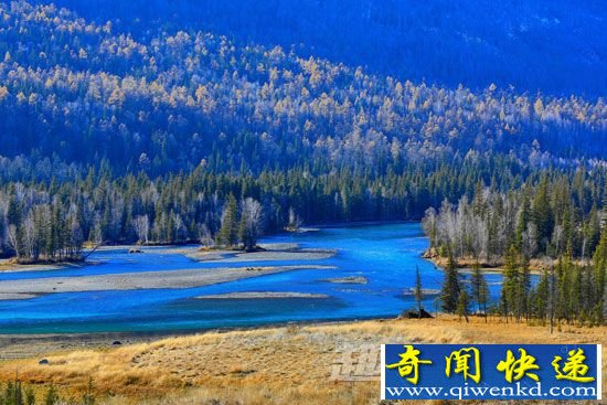 喀纳斯湖水怪再现