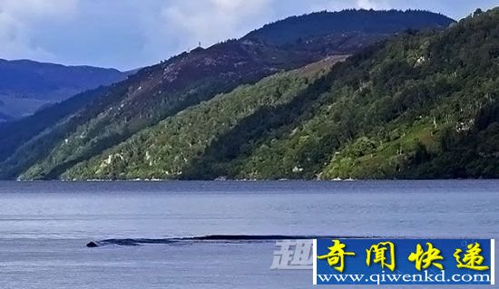 新疆喀纳斯水怪再现