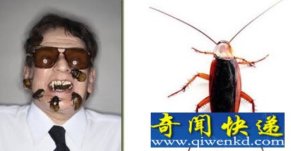吃蟑螂最多