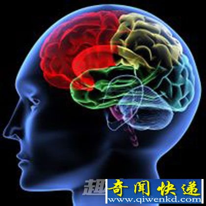 数字大脑