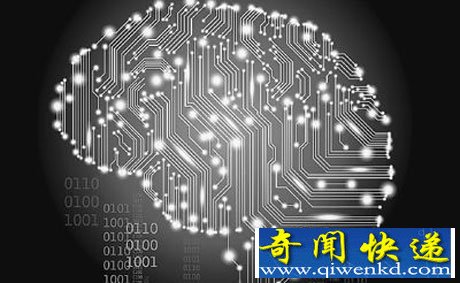 数字大脑