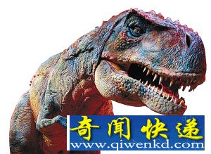 霸王龙