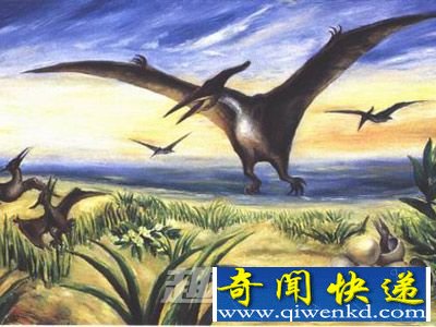 恐龙
