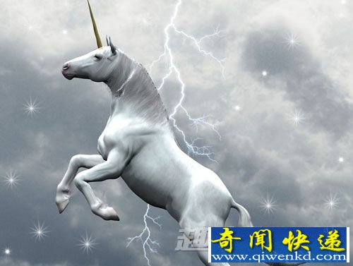独角兽