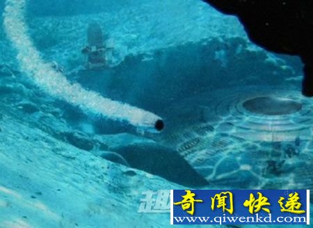 南极