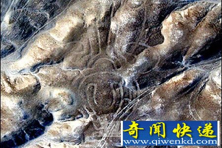 图案