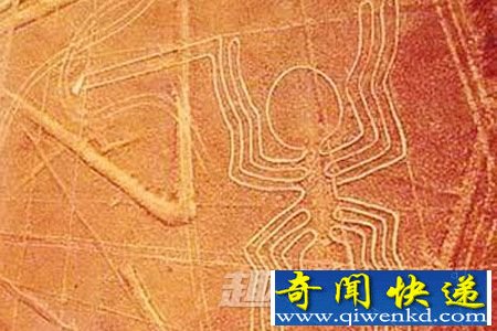 跑道?