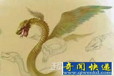 来自圣彼得堡的旅游者克洛科夫突然失踪。