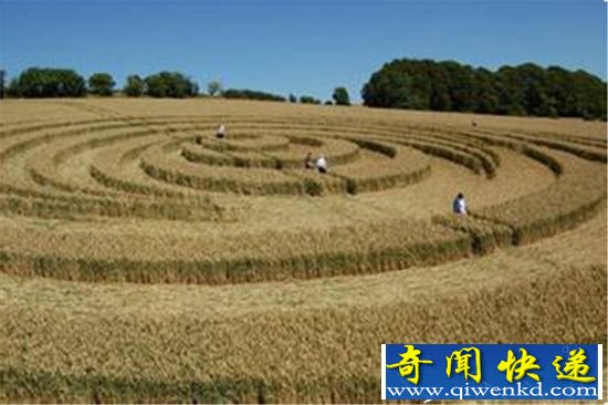 麦田怪圈成因 是时空混乱的产物?