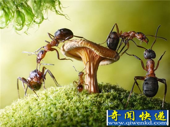 远古地球竟下钻石雨!揭秘地球的“年轻时代”
