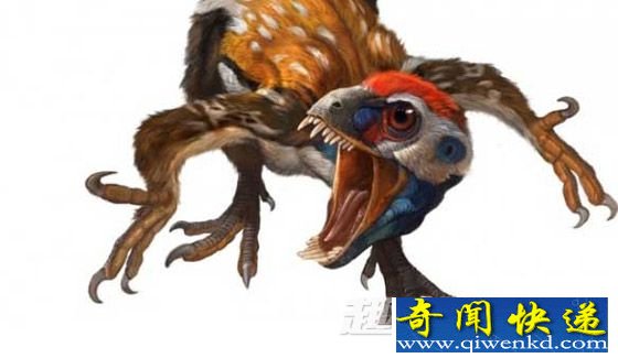 中华鸟龙