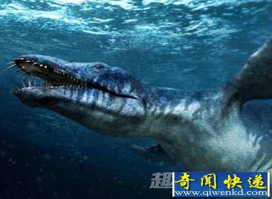 滑齿龙