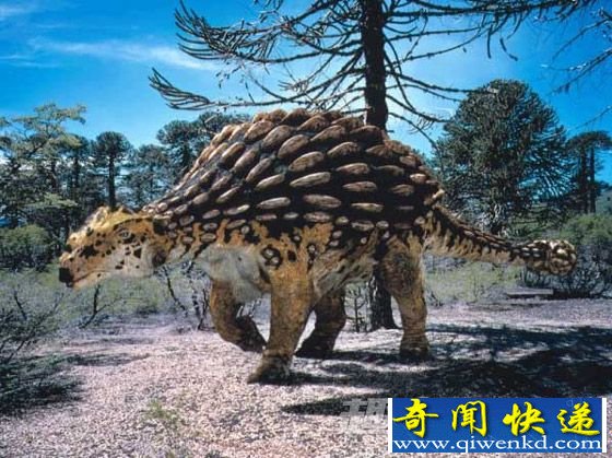 背甲龙