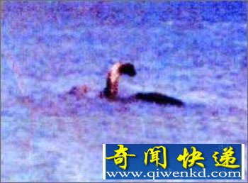 尼斯湖水怪