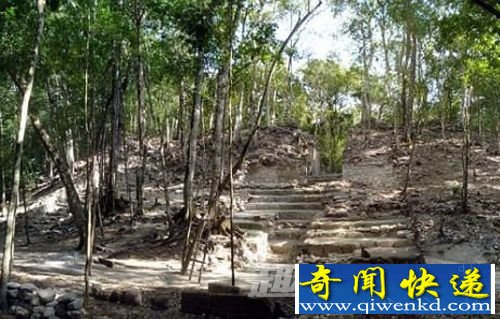玛雅王子墓葬所在地