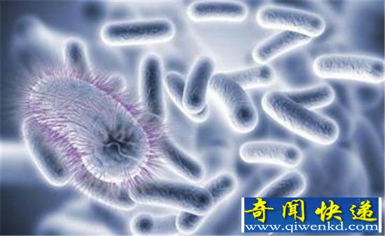 生命大灭绝真正元凶竟是细菌!人类或将难以幸免