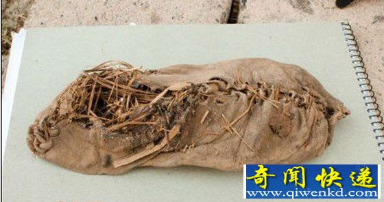 软帮鞋式的鞋子