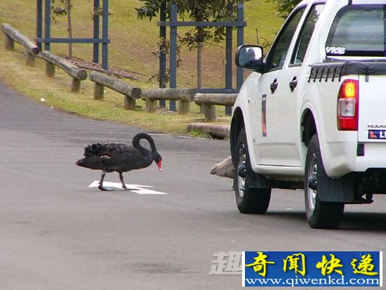 在德国,汽车必须粘车窗静电贴