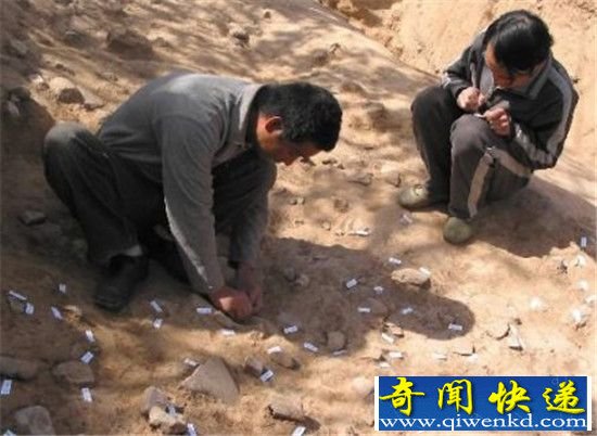 福建惊现齐天大圣墓!孙悟空确有其人?