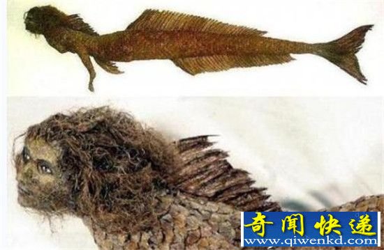 世界上有美人鱼吗?美人鱼真身吓死渔民