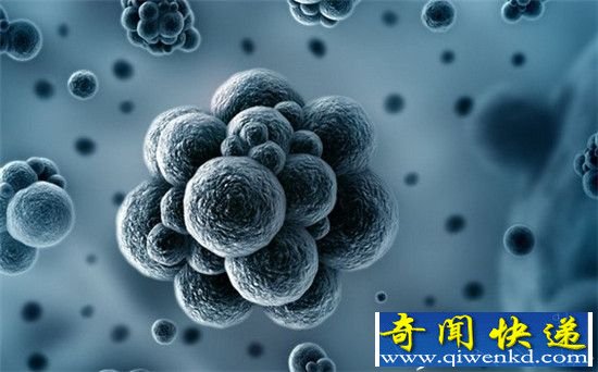 致命细菌:2.5亿年前生物灭绝元凶曝光