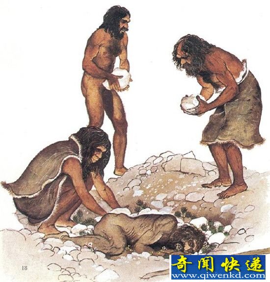 解析人类起源之谜 为什么人类起源于非洲?