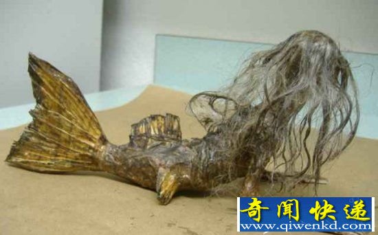黑鲮鲛人恐怖传说 美人鱼真相揭秘