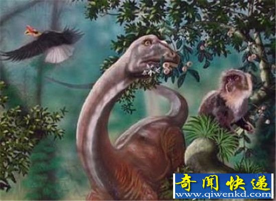 未解之谜的世界神秘事件 全球神秘事件大盘点