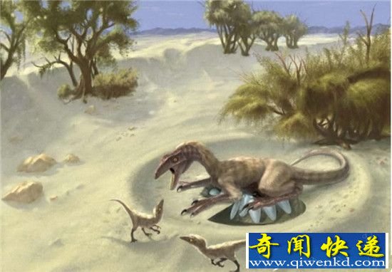 世界七大怪异考古发现:恐龙羽毛首次出土