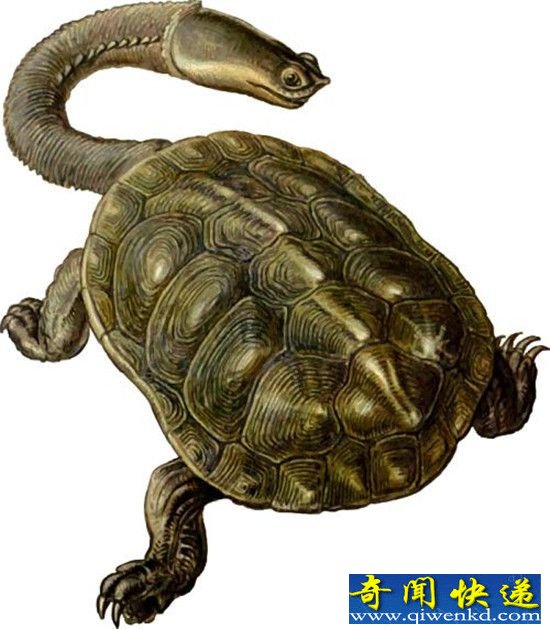 和恐龙同时代的十大地球霸主 已经灭绝的远古生物