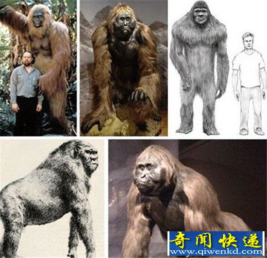 和恐龙同时代的十大地球霸主 已经灭绝的远古生物