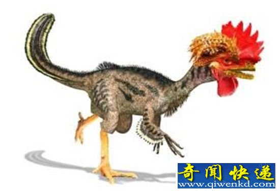 通过基因逆转 科学家可以让鸡变恐龙?