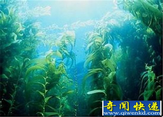 海底外星人基地?百慕大三角10大惊人学说