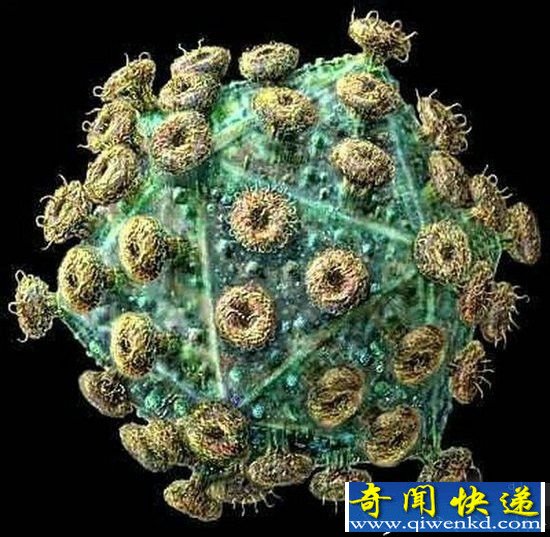 历史上肆虐人间的四大灾难 疯狂减少人类数量