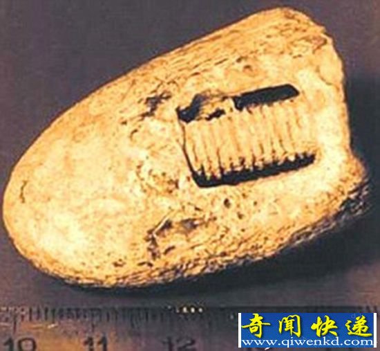 史前文明谣言破解:3亿年前螺丝钉只是普通化石
