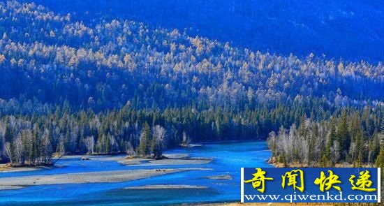 喀纳斯湖又见水怪 一口能将野马拖入湖中