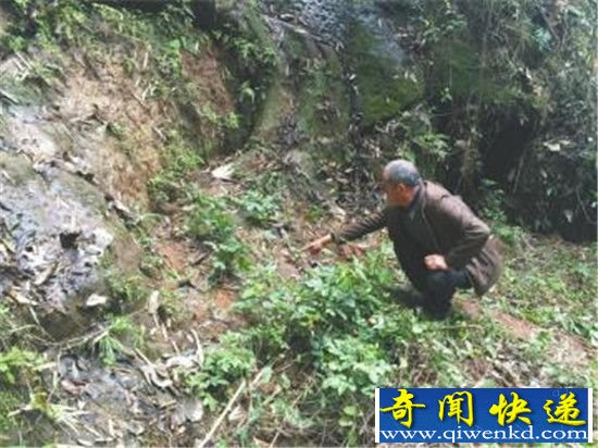 千年石龙将现身 揭开张献忠沉银之谜