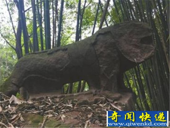 千年石龙将现身 揭开张献忠沉银之谜